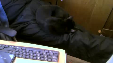 Snapshot of muller520 chatting on January 16, 2025, 6:06 pm muller520 online show from January 16, 2025, 6:06 pm