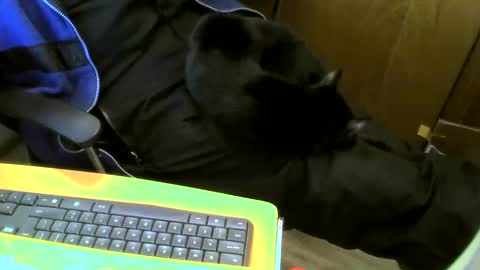 Snapshot of muller520 chatting on January 18, 2025, 3:59 pm muller520 online show from January 18, 2025, 3:59 pm