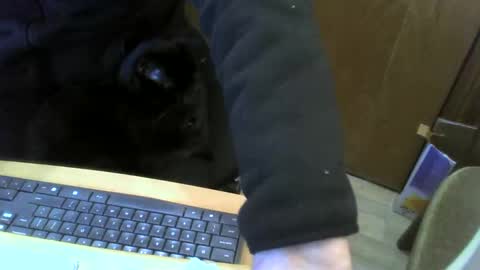 Snapshot of muller520 chatting on January 22, 2025, 4:02 pm muller520 online show from January 22, 2025, 4:02 pm