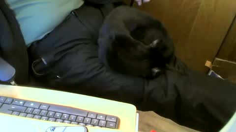 Snapshot of muller520 chatting on January 22, 2025, 7:03 pm muller520 online show from January 22, 2025, 7:03 pm