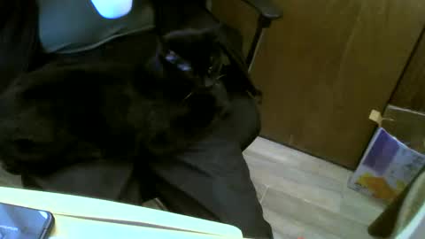 Snapshot of muller520 chatting on January 23, 2025, 6:14 pm muller520 online show from January 23, 2025, 6:14 pm