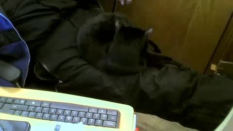Snapshot of muller520 chatting on February 12, 2025, 4:55 pm muller520 online show from February 12, 2025, 4:55 pm