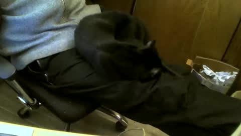 Snapshot of muller520 chatting on February 19, 2025, 5:06 pm muller520 online show from February 19, 2025, 5:06 pm