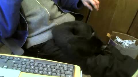 Snapshot of muller520 chatting on February 21, 2025, 4:48 pm muller520 online show from February 21, 2025, 4:48 pm