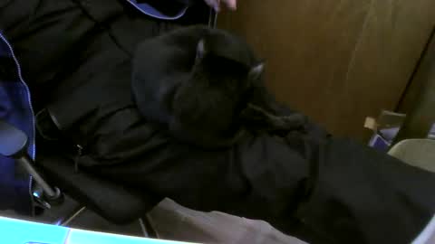 Snapshot of muller520 chatting on February 26, 2025, 3:41 pm muller520 online show from February 26, 2025, 3:41 pm