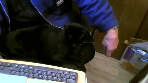 Snapshot of muller520 chatting on February 27, 2025, 5:26 pm muller520 online show from February 27, 2025, 5:26 pm