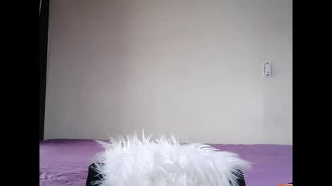 arami online show from October 28, 2025, 12:41 pm