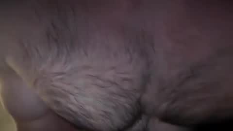 Snapshot of musclehair3 chatting on December 13, 2024, 7:21 pm musclehair3 online show from December 13, 2024, 7:21 pm