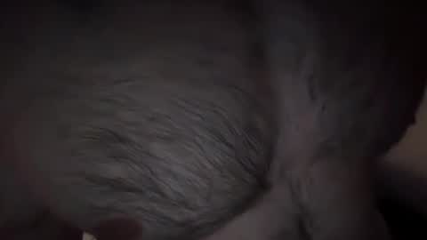 Snapshot of musclehair3 chatting on February 14, 2025, 9:53 pm musclehair3 online show from February 14, 2025, 9:53 pm