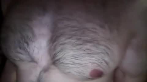 Snapshot of musclehair3 chatting on February 26, 2025, 8:22 pm musclehair3 online show from February 26, 2025, 8:22 pm