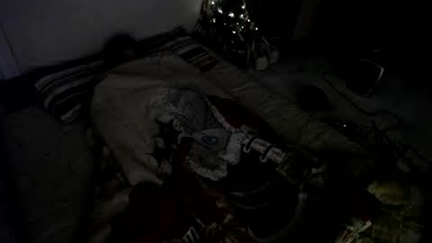 Snapshot of muse_online chatting on December 23, 2024, 8:00 am Muse Ali online show from December 23, 2024, 8:00 am