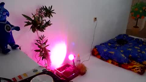 Snapshot of muse_online chatting on December 31, 2024, 5:18 pm Muse Ali online show from December 31, 2024, 5:18 pm