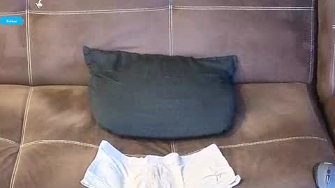 Snapshot of mushroomcouch chatting on June 15, 2026, 9:17 pm mushroomcouch online show from June 15, 2026, 9:17 pm
