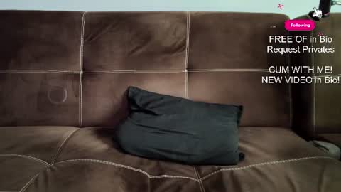 Snapshot of mushroomcouch chatting on June 27, 2026, 7:46 am mushroomcouch online show from June 27, 2026, 7:46 am