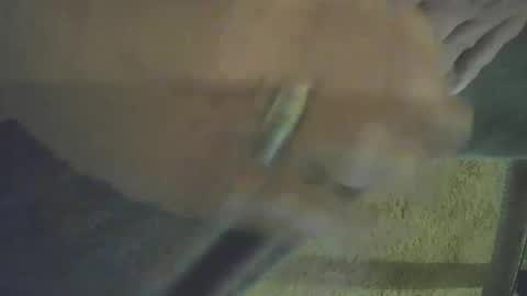 musicman2021 online show from October 26, 2025, 3:40 pm