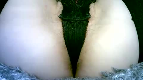 my_tightholes online show from February 2, 2026, 6:50 pm