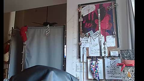 LA MARIPOSA DE MARICOPA online show from December 20, 2024, 4:14 pm