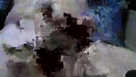 mycock594498 online show from January 9, 2025, 3:12 pm