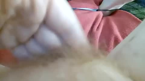 Kitty online show from July 2, 2026, 11:16 am