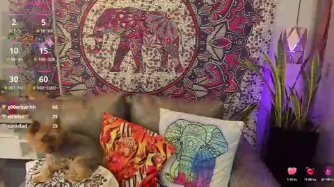 S A R A online show from February 10, 2025, 8:21 pm