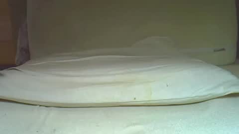 Snapshot of myxiao chatting on December 7, 2024, 4:47 pm rudisuzzy online show from December 7, 2024, 4:47 pm