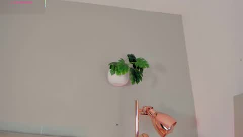 INSTAGRAM  m2221     online show from February 9, 2026, 10:52 am