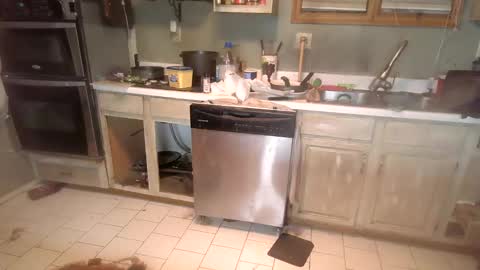 nakednate1780 online show from December 6, 2024, 1:29 am