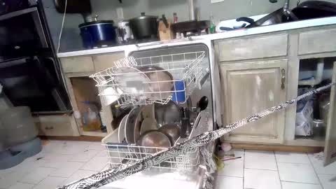 nakednate1780 online show from March 3, 2025, 7:32 am