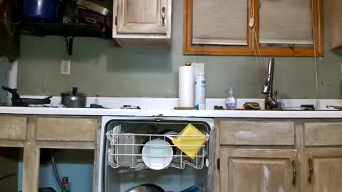 Snapshot of nakednate1780 chatting on February 16, 2026, 3:24 am nakednate1780 online show from February 16, 2026, 3:24 am