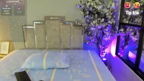 nalapalmer online show from February 12, 2026, 7:53 pm