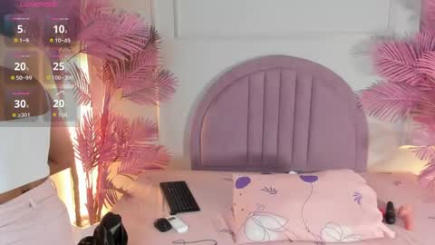 nalapalmer online show from May 24, 2026, 11:37 am
