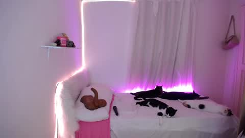 Snapshot of nanami_20 chatting on September 17, 2025, 7:04 pm samantha online show from September 17, 2025, 7:04 pm