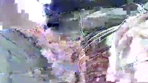 Nane online show from November 19, 2025, 12:16 pm