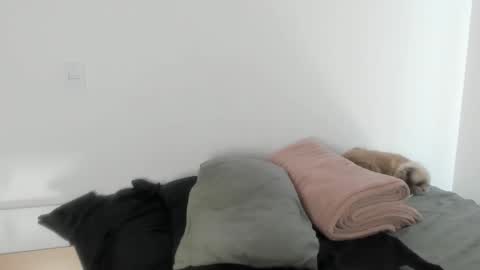 Naomi Moore online show from January 17, 2026, 6:11 pm