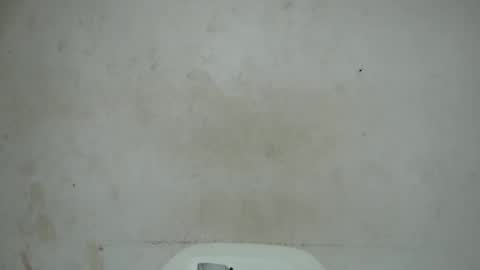 nastyhairy7 online show from October 29, 2025, 4:15 am