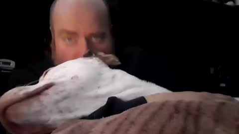 Snapshot of nastysubs69 chatting on December 16, 2025, 2:11 pm nastysubs69 online show from December 16, 2025, 2:11 pm