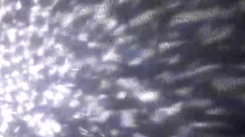 Snapshot of nastysubs69 chatting on December 20, 2025, 9:49 am nastysubs69 online show from December 20, 2025, 9:49 am