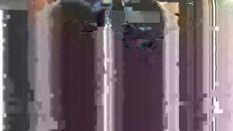 nastyyyyydoo online show from December 16, 2025, 8:41 am