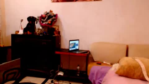 natali online show from December 24, 2024, 6:50 pm