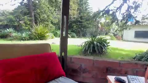Snapshot of natashadiamondd chatting on June 23, 2026, 1:42 pm NatashaDiamond online show from June 23, 2026, 1:42 pm