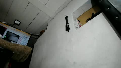 natalia online show from June 23, 2026, 2:09 am