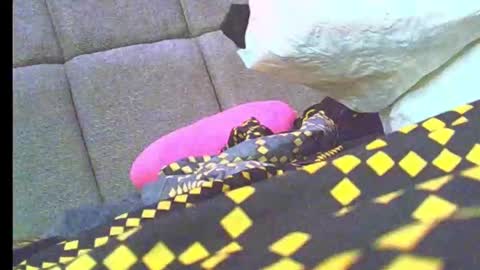 Jasmin online show from January 19, 2026, 12:14 am