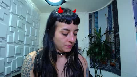 Kitten online show from December 26, 2024, 2:59 pm