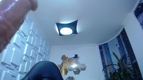 Kitten online show from December 28, 2024, 2:21 pm
