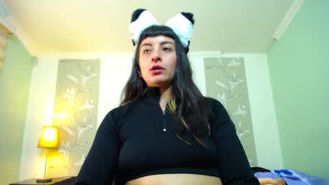 Kitten online show from January 7, 2025, 5:31 pm