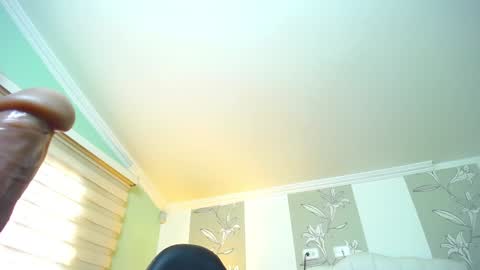 Kitten online show from January 8, 2025, 2:03 pm