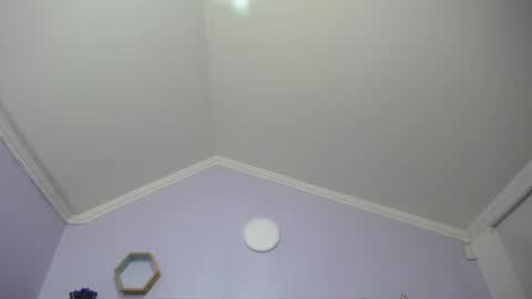 Kitten online show from January 25, 2025, 11:34 am