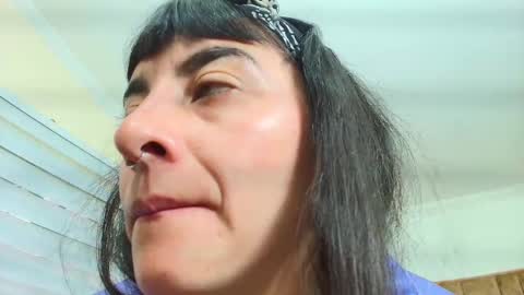 Kitten online show from September 30, 2025, 11:37 am