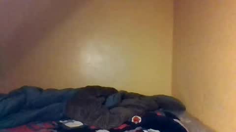 Bree doll online show from April 26, 2026, 8:39 pm