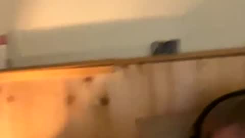 Naughtydaddy36 online show from November 30, 2025, 10:36 pm